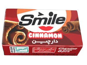 آدامس دارچین اسمایل شیرین عسل - 6 عددی